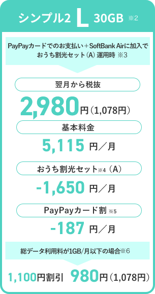 シンプル2 L 30GB