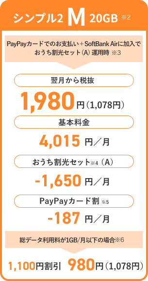 シンプル2 M 20GB